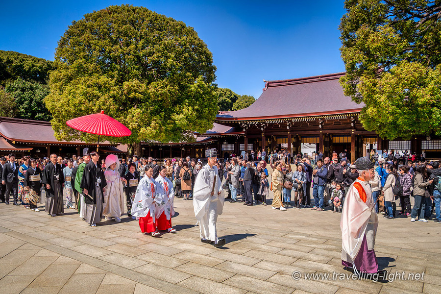 Shinto Wedding Procession, Meiji Jingu Shrine, Tokyo