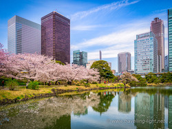 Kyu-Shiba-rikyu Gardens, Tokyo